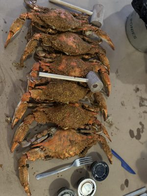 Jumbo crabs and oysters Annapolis OMG