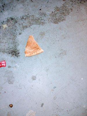 Why would someone waste a whole piece of pizza