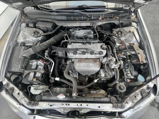 Engine bays are often neglected like this one.