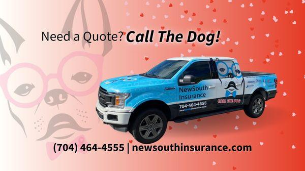 New South Insurance Group