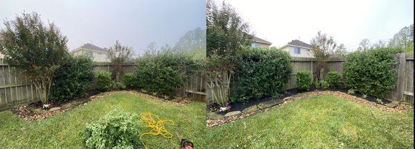 HLB Services offers hedge and tree trimming services.