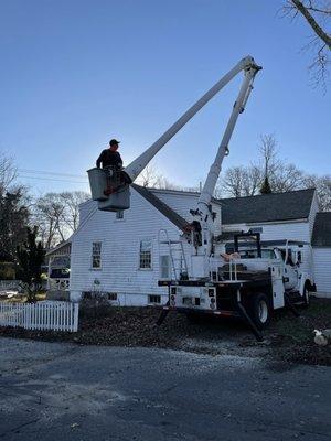 Hagerty Tree Services