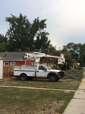 Smaller of the two trucks Ryan used to remove two large trees.