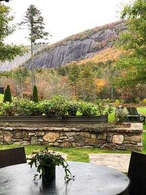 Looking out to the back patio from the dining room.