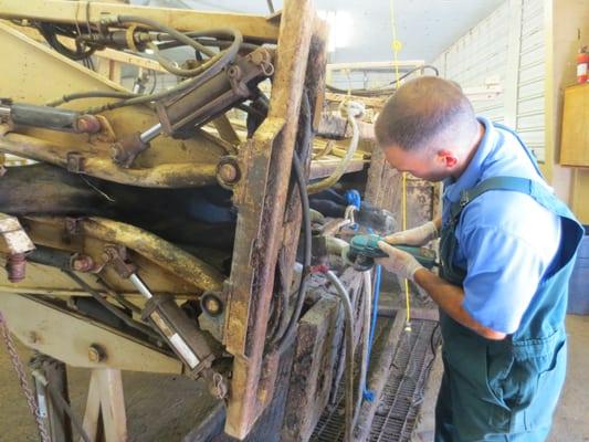 Dr. Kurt Detweiler prepping a hoof for treatment