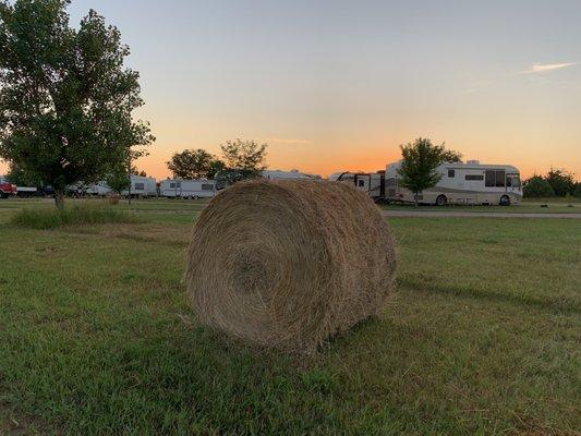 Fishberry campground