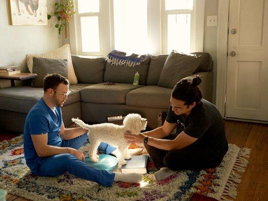 Josh showing us how to encourage our pup to use her back legs.