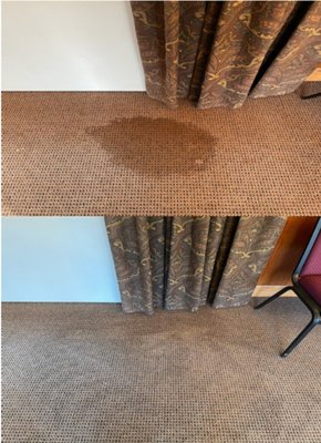 Scott's Carpet & Upholstery Cleaning