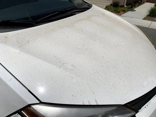 This vehicle was a gem under a layer of road grime and dirt.