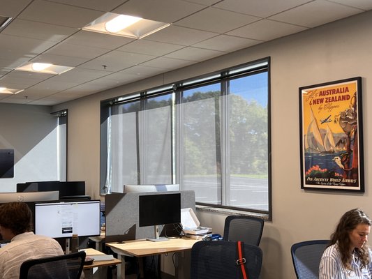 Commercial application of solar shades to block heat while keeping the view.