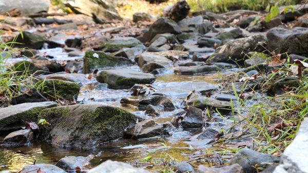 Stream of water in one of the trails