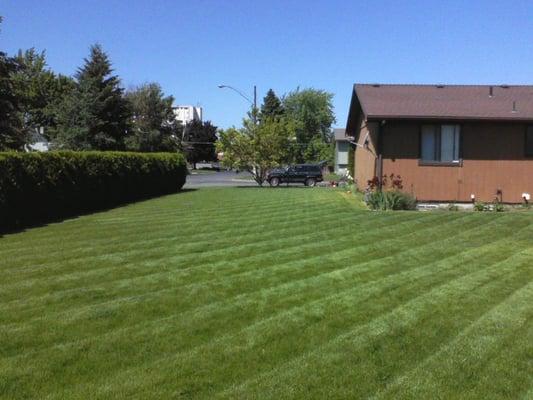 Affordable Option Lawn Care