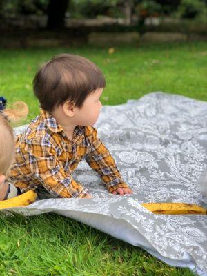 Picnic in Golden Gate Park