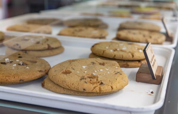 T-Rex Cookie