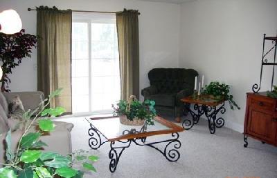 Living room looking out sliding glass door