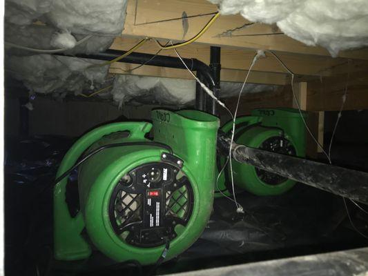 Crawl space equipment to thoroughly mitigate a flooded kitchen in Kent, WA.