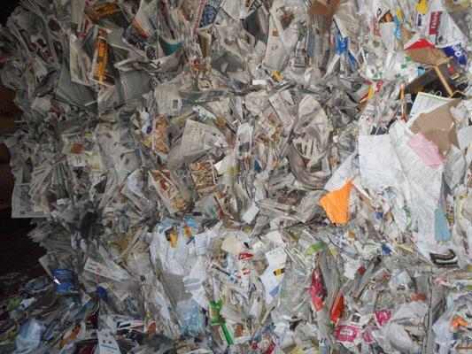 Recycle Business paper and shredded paper