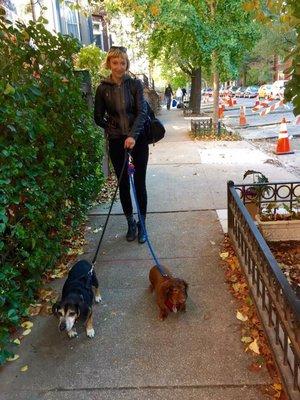 Dog Walking in Park Slope