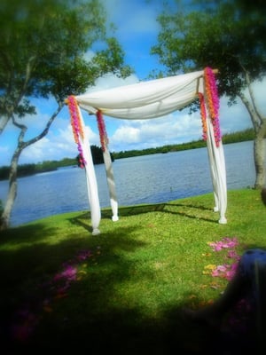 The archway in orchids and roses