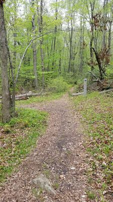 This guide post at the junction of 2 trails.