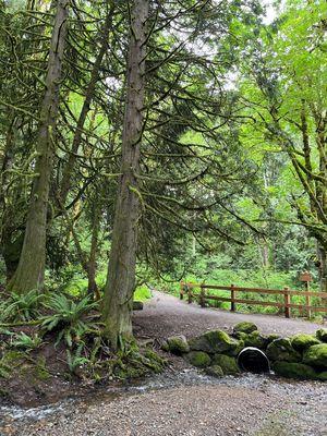 Coal Creek Falls Trail