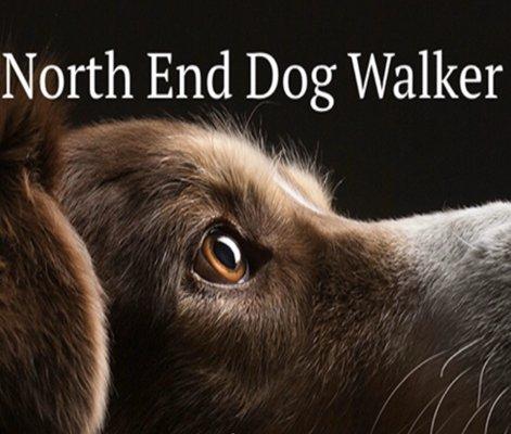 North End Dog Walker