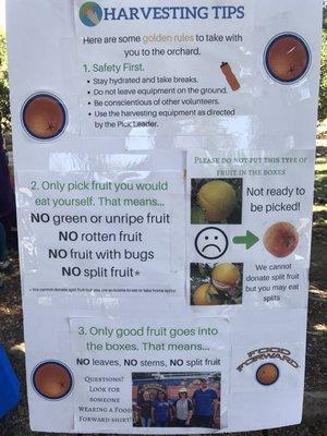 Tips for fruit picking.