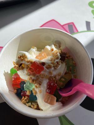 Vanilla no sugar frozen yogurt.