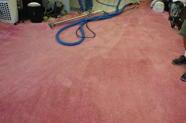 See before & after shots at: www.jbscleancarpets.com