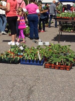 Annual plant sale 2014