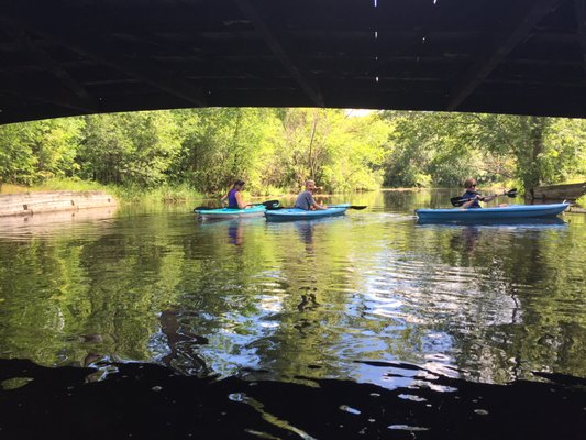 Sunny afternoon on the creek.