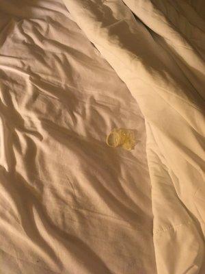 Do not clean rooms properly do not change bedsheets & blankets in room . Used!!! Condoms in bed