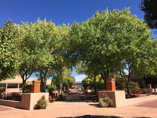 The beautiful SFCC quad in springtime