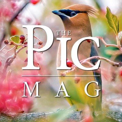 Things To Do - Birding - Picayune Magazine