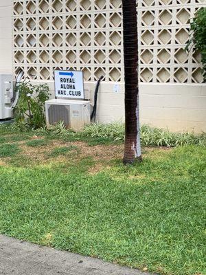 The office entrance is hidden and this is the small sign outside. You'll miss it since the numbering isn't clearly visible.