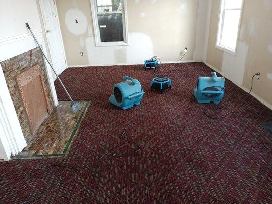 Carpet Cleaning