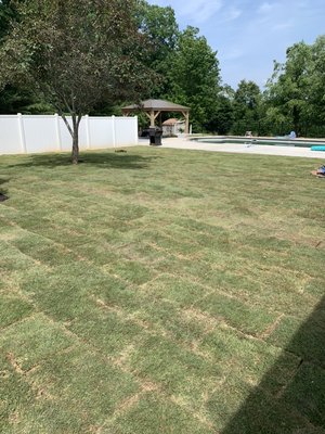 Sod installation