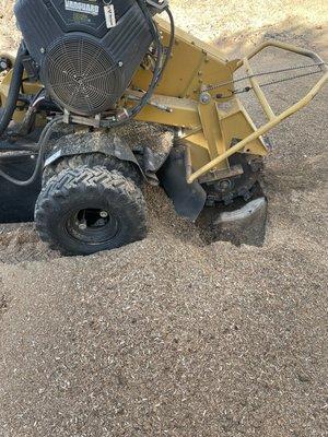 Stump grinding