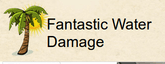 Fantastic Water Damage