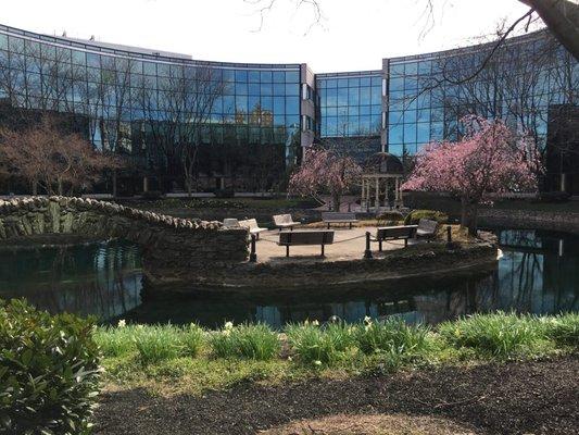 Elkins Park Office on campus of Salus University