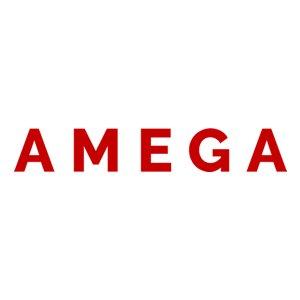 Amega Quality Insurance Agency