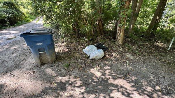 A trash bin is visible near the edge of the driveway, next to it, several trash bags are left on the ground.