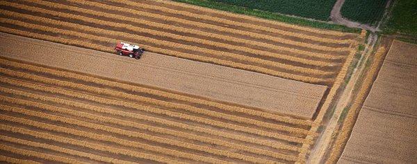 Aerial Farm Surveying