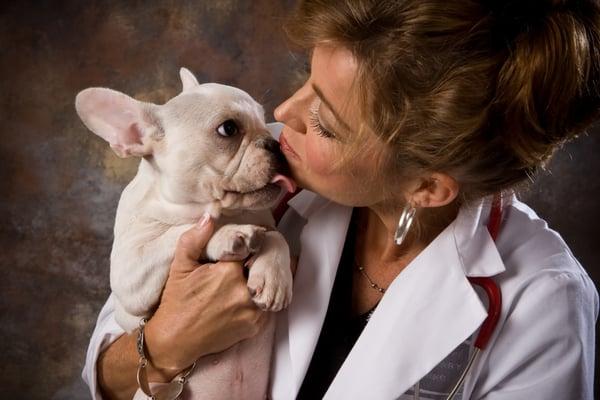 Smith & Shedd Family Pet Hospital