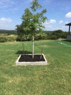 Installation of rock border for tree(s)