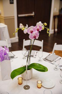 Center piece orchid