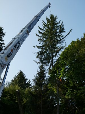 Crane Service to handle the largest jobs easily and cost effective