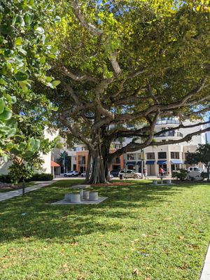 Dewey Park, Boynton Beach