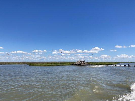 View from the ferry ride of an old hunting lodge that local birds now call home.