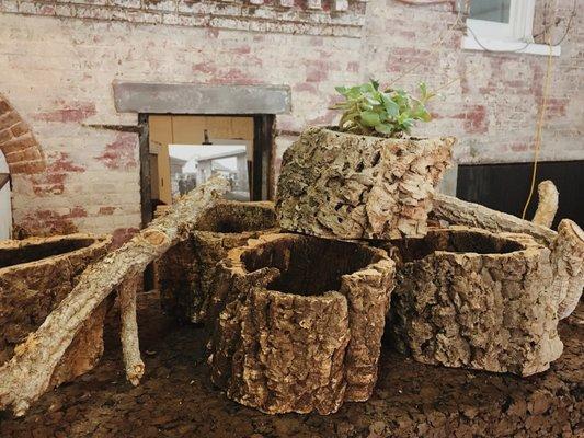 Natural cork oak bark planters